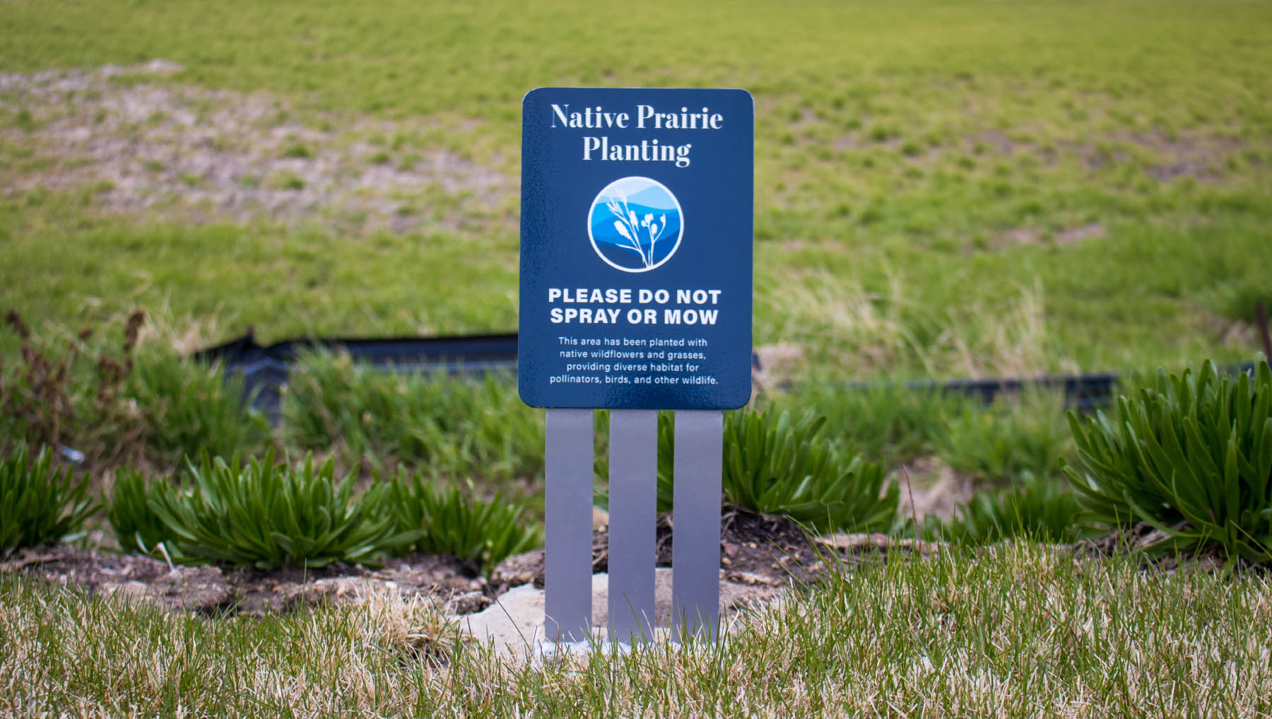 IGL_CaseStudy_IowaGreatLakes_10