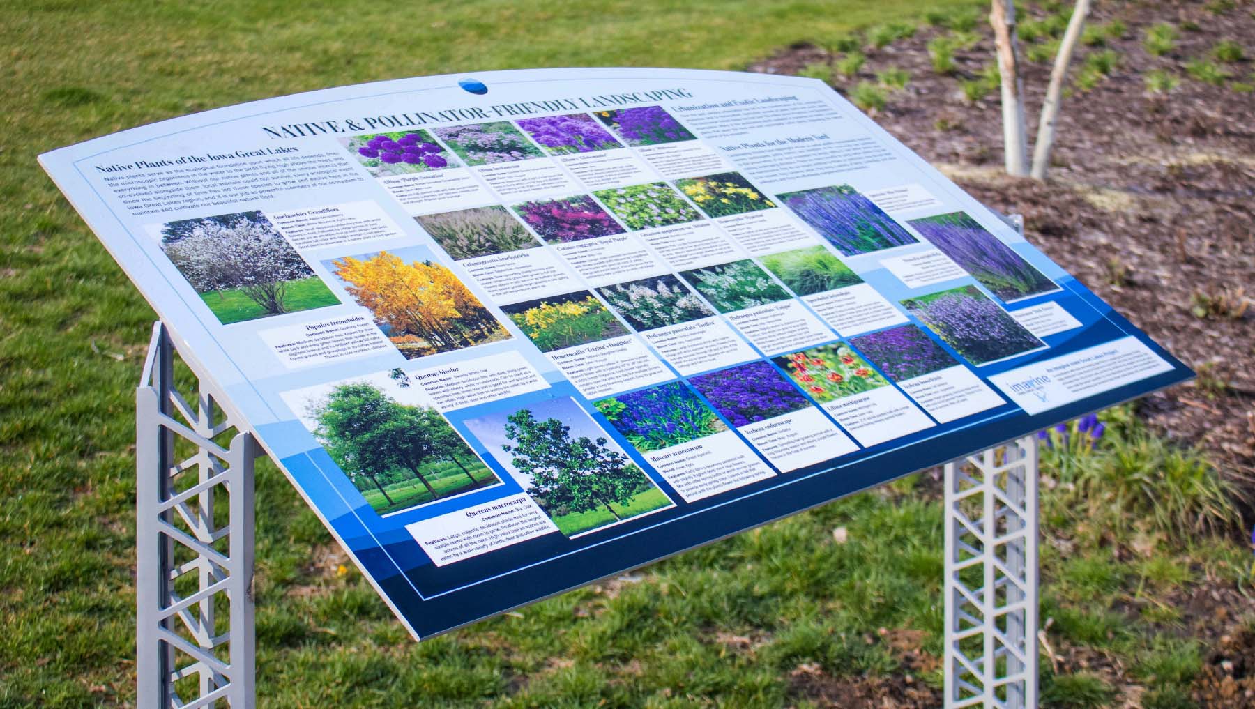 IGL_CaseStudy_IowaGreatLakes_8