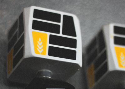 Full Fledged Brewing