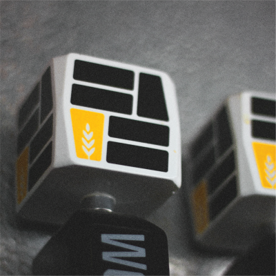 Full Fledged Brewing